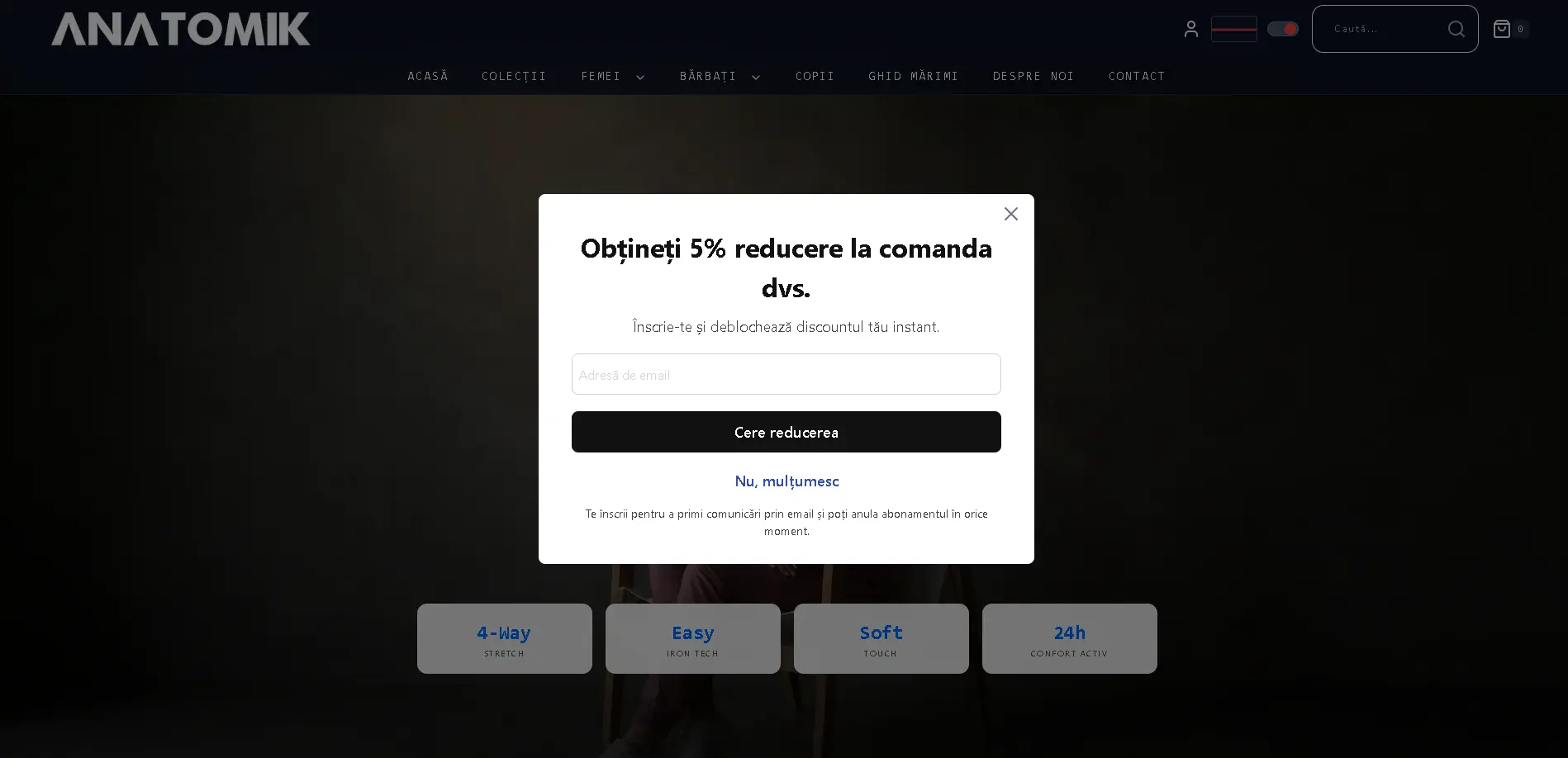 Anatomik project preview